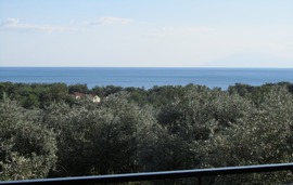 moonbeam hotel pefkari view 1